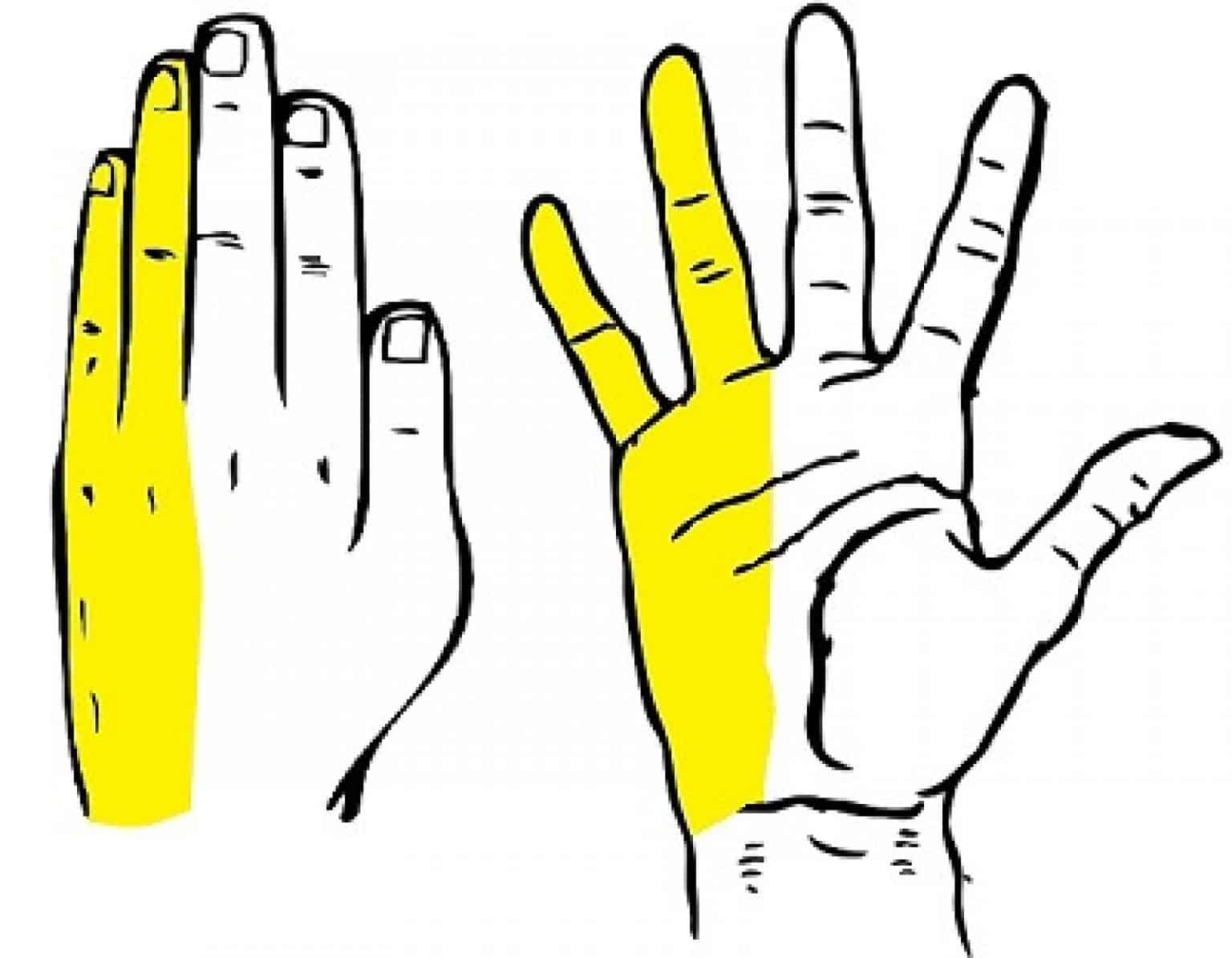 6 Best Padded Cycling Gloves (Reviewed 2023)