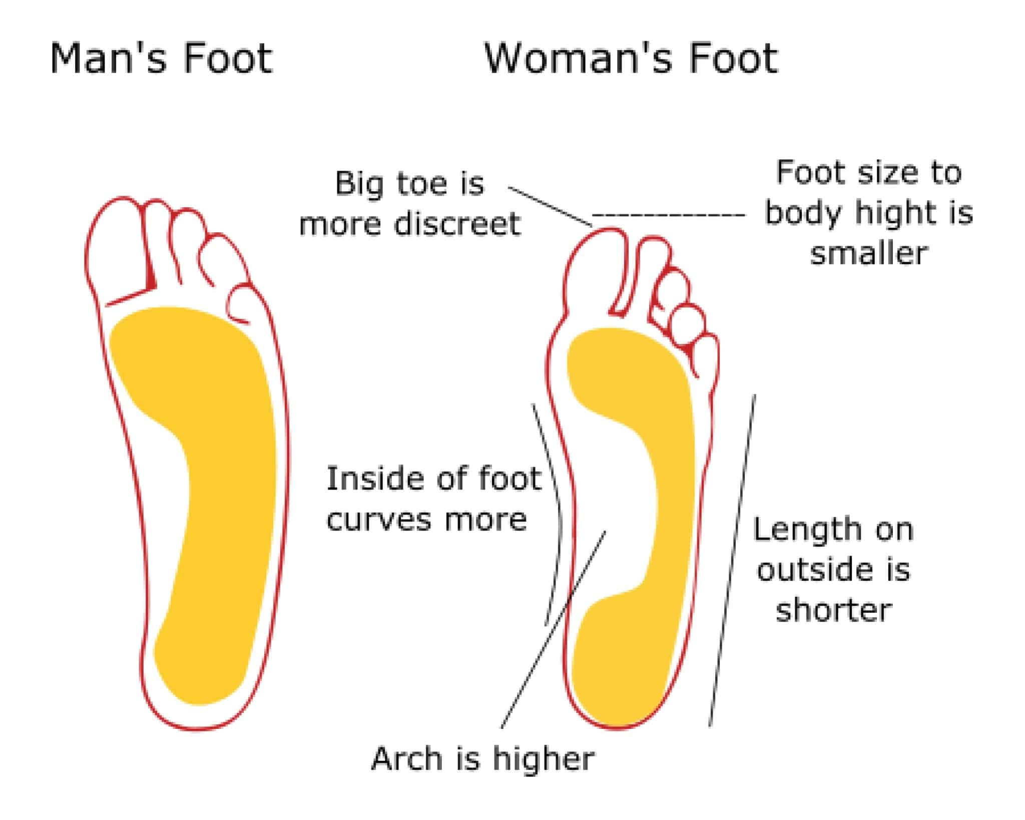 12 Best Cycling Shoes for Wide Feet (Updated 2023)