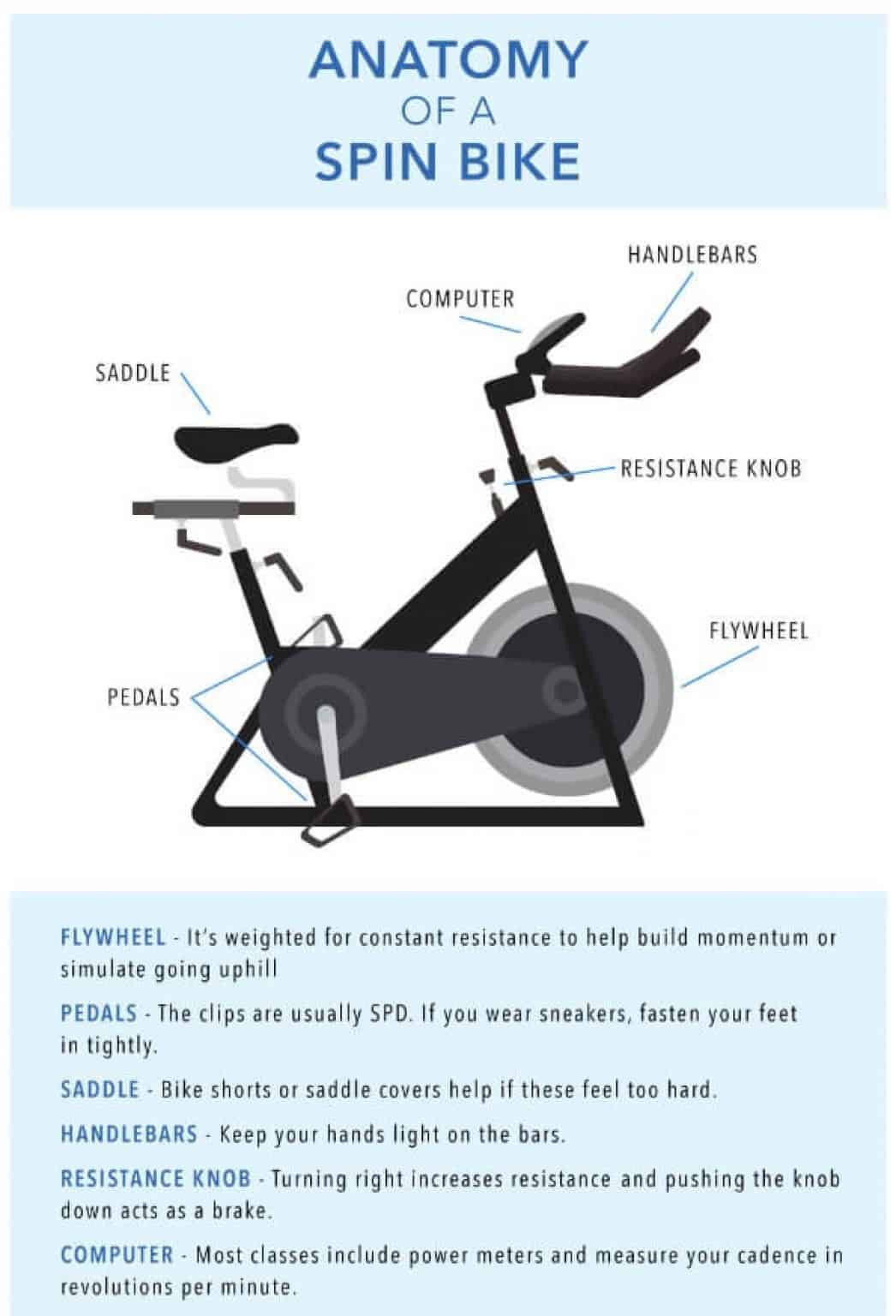Spin bike vs. Exercise bike Which One will You Choose & Why?