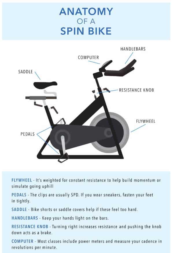 anatomy of a spin bike