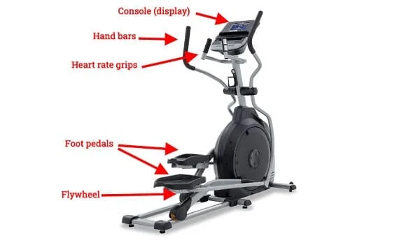 Anatomy of an Elliptical