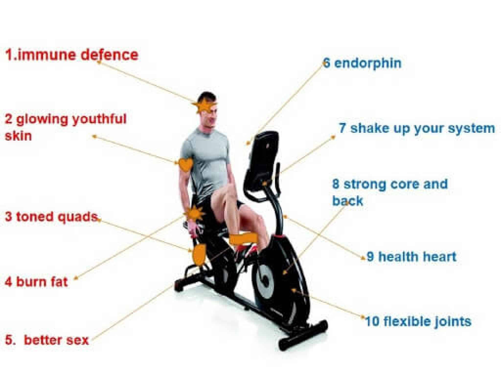 12 Best Recumbent Exercise Bikes for Seniors (Updated 2024)