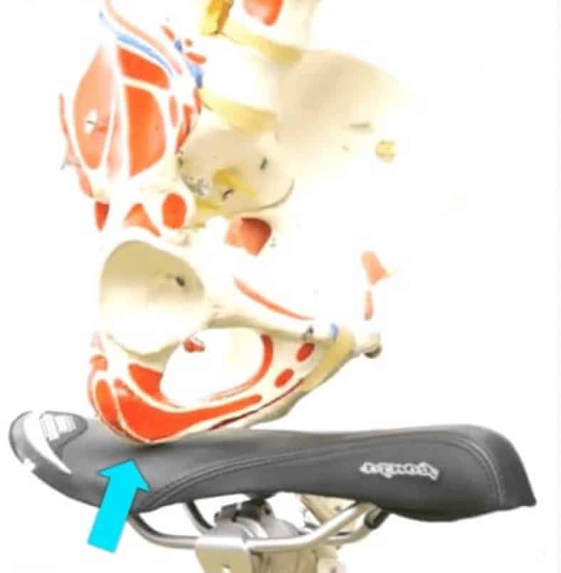 bike seat for tailbone injury