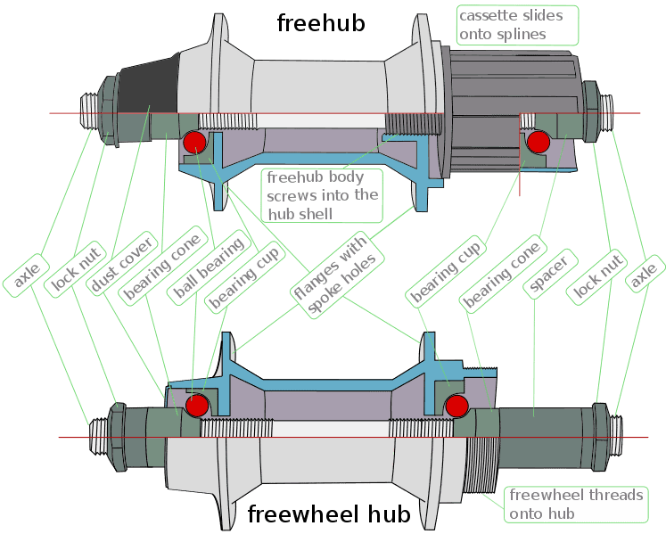 difference between freecoaster and cassette hubs