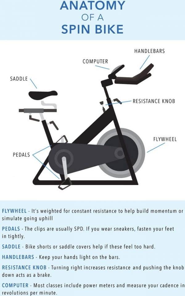 anatomy of a spin bike