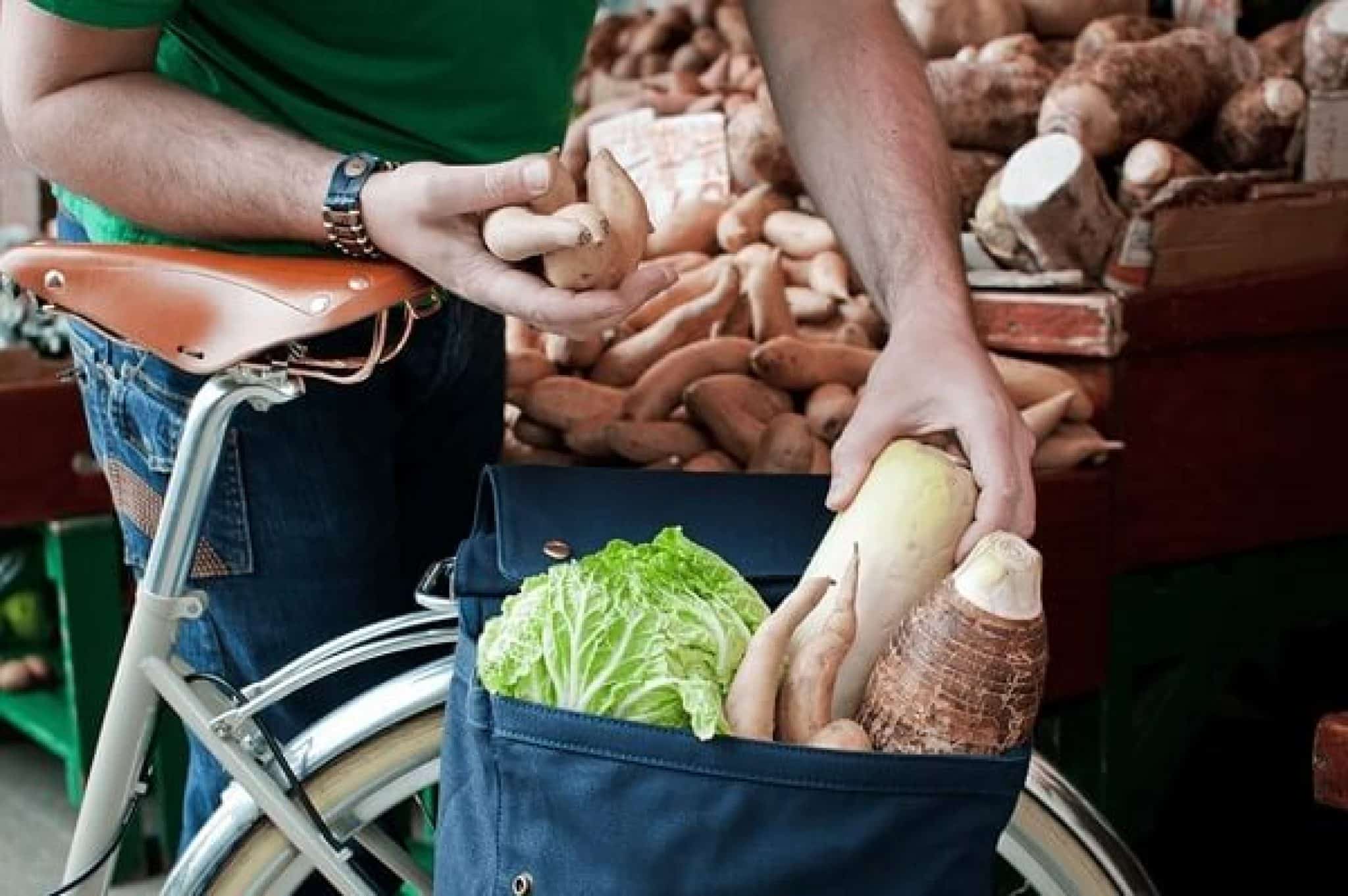 10 Best Bike Panniers for Grocery Shopping