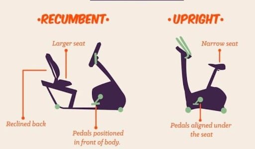 Difference between recumbent and upright