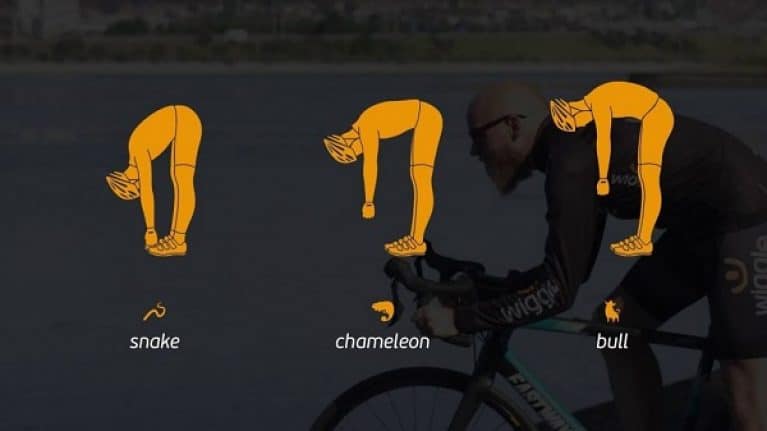 bike seat for long distance