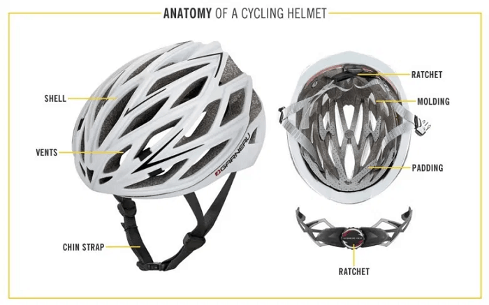 Helmet Anatomy