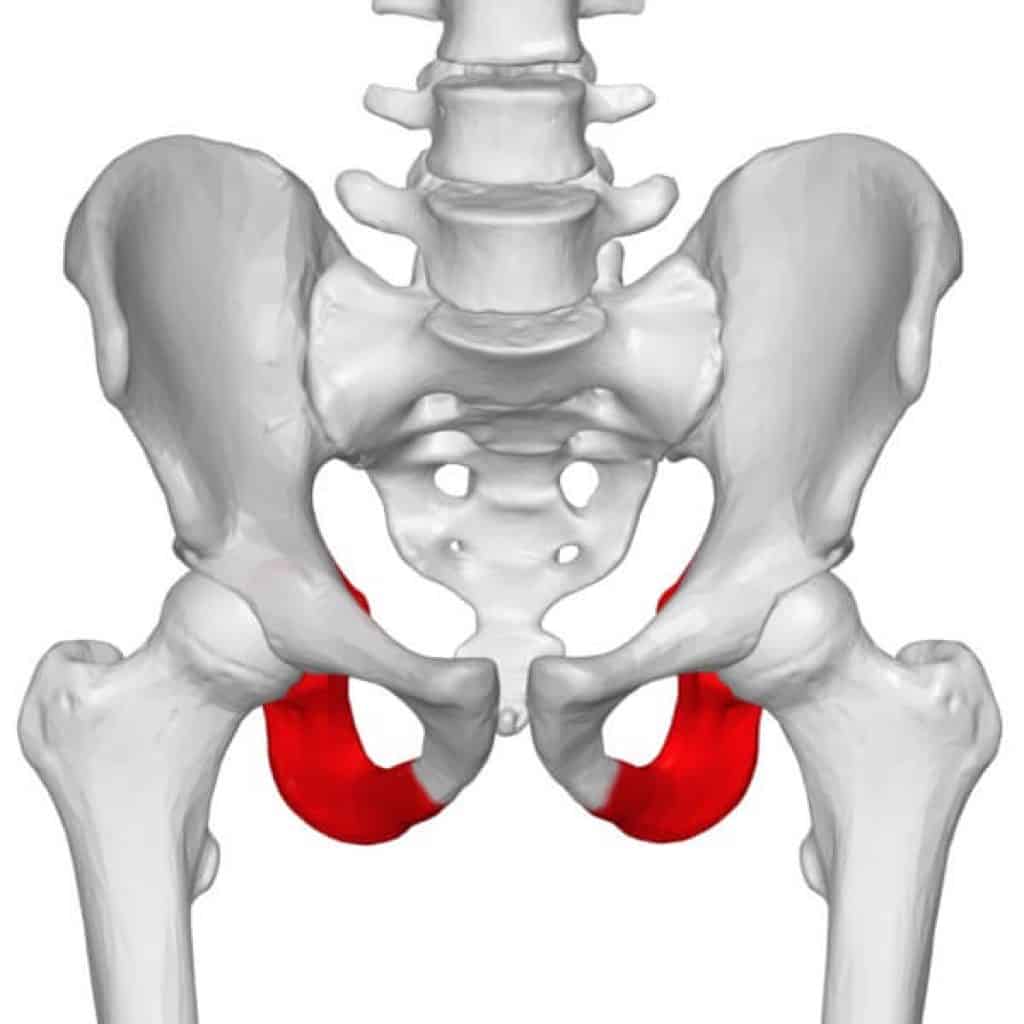 saddle width for 110mm sit bones