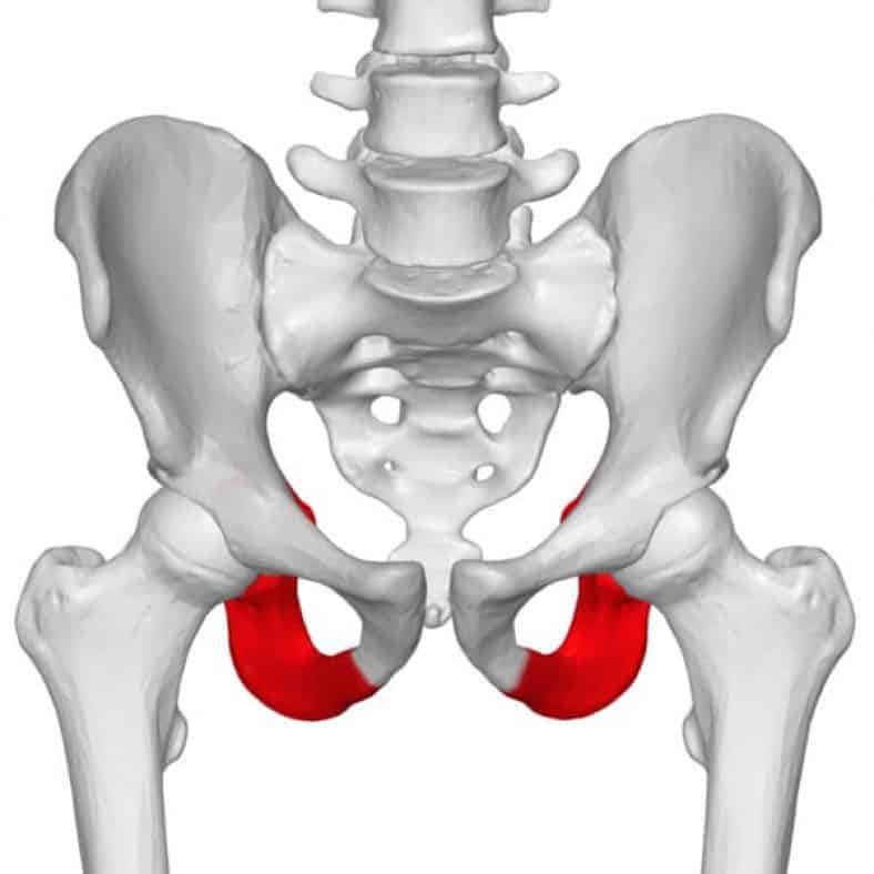 saddle width for 120mm sit bones
