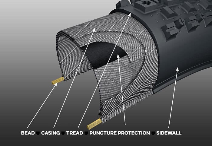 Tire anatomy