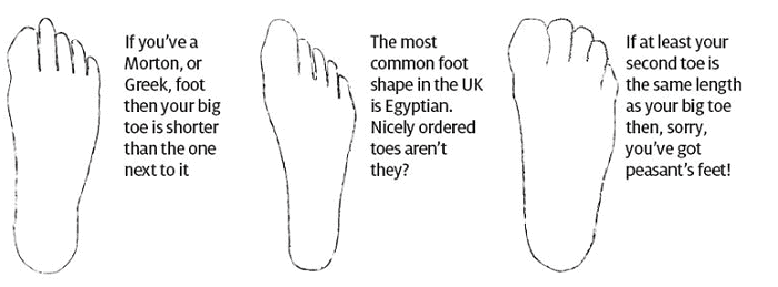 Types of feet