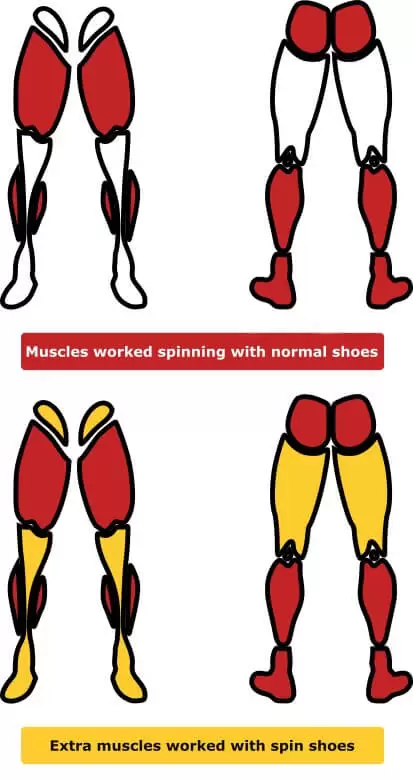 muscles worked spinning with normal shoes