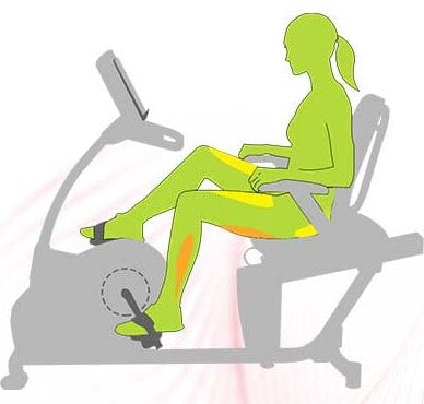 target muscles
